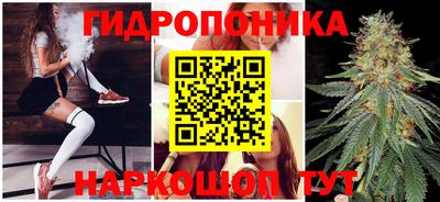 амф Ливны