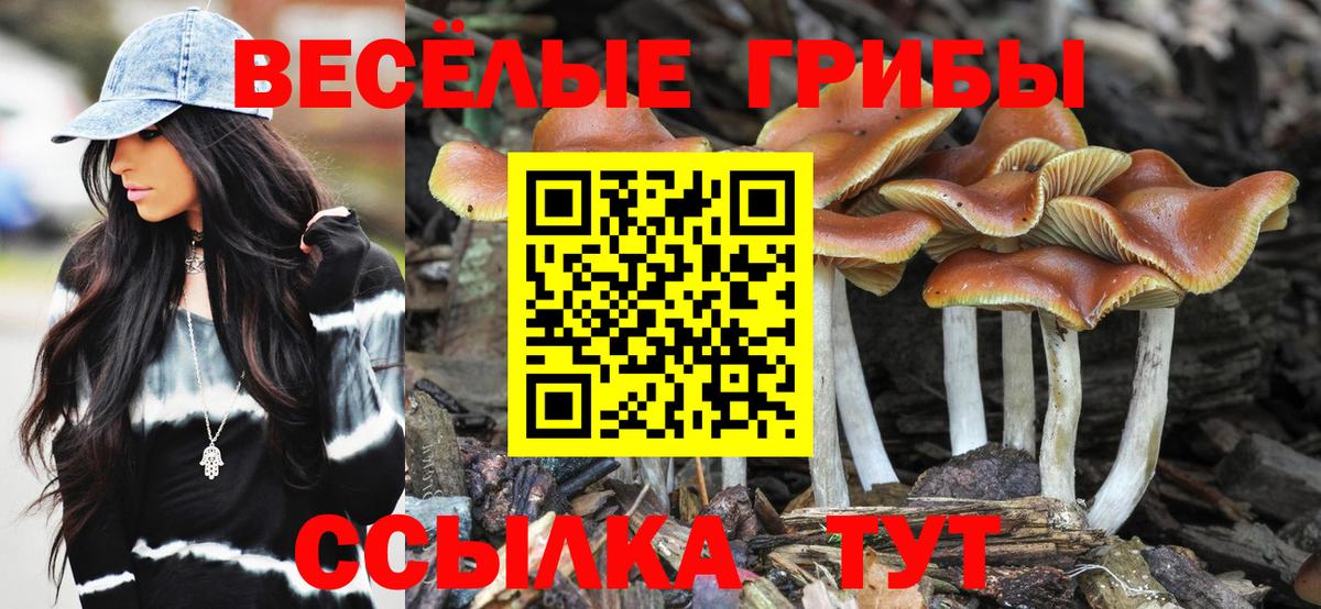 Галлюциногенные грибы Psilocybine cubensis  Псилоцибиновые грибы мицелий  Вход с VPN  Горно-Алтайск 